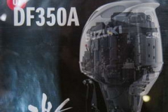 PET_7637_resize