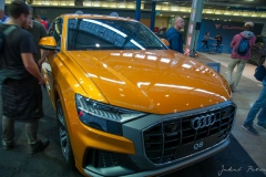 PET_7707_resize