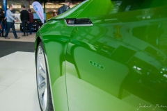 PET_7720_resize
