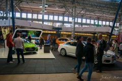 PET_7734_resize