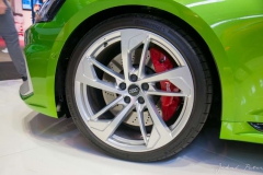 PET_7739_resize