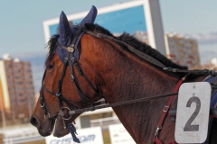 2018_Szilveszter_ugeto001