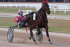 2018_Szilveszter_ugeto025
