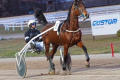 2018_Szilveszter_ugeto050